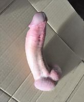 long penis